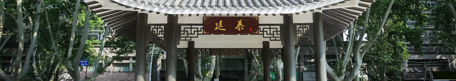 电子游戏